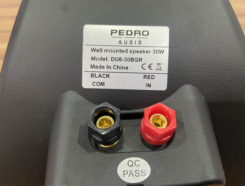 Cổng kết nối phía sau của loa Pedro DU6-30BGR