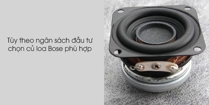 Tùy theo ngân sách đầu tư của bản thân để chọn mẫu loa phù hợp