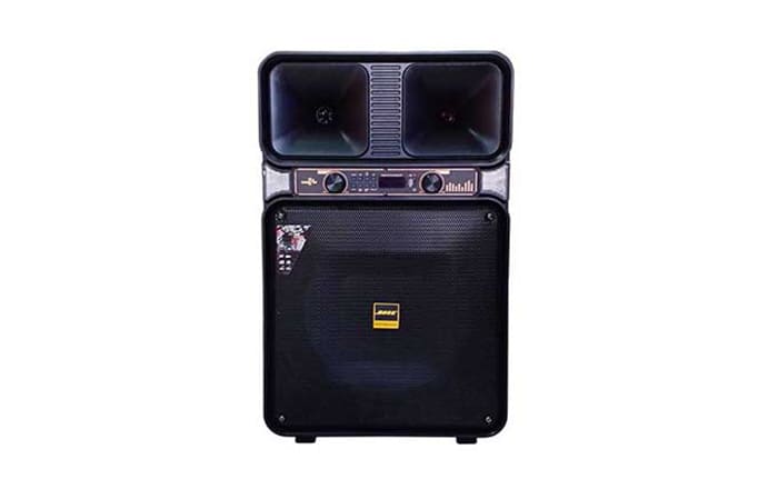 Loa Bose 15NE có công suất mạnh mẽ