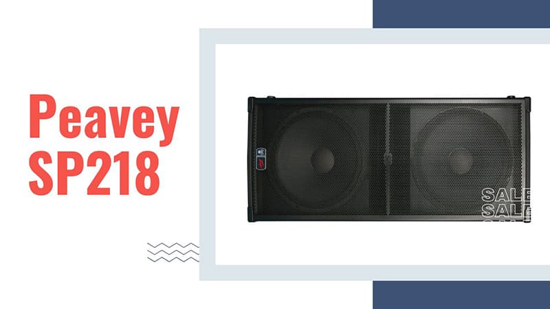 3. Loa Peavey SP218