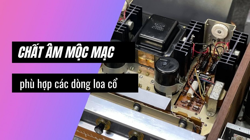 Amply xuất âm tụ cho chất âm mộc mạc, chậm rãi thích hợp với các dòng loa cổ