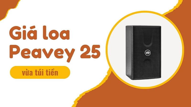 Giá loa Peavey bass 25 phải chăng, vừa túi tiền của người dùng Giá loa Peavey bass 25 phải chăng, vừa túi tiền của người dùng
