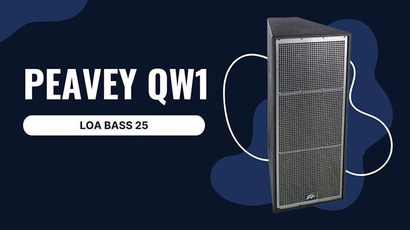 Loa Peavey QW1: 17.000.000 đồng Loa Peavey QW1: 17.000.000 đồng
