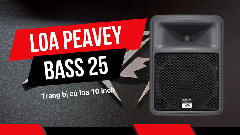 Loa Peavey bass 25 trang bị củ bass 10 inch Loa Peavey bass 25 trang bị củ bass 10 inch