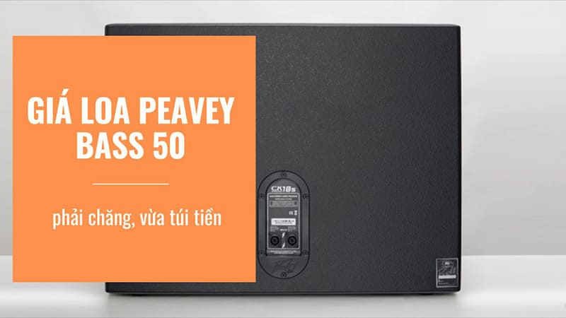 Mức giá loa Peavey bass 50 phải chăng chỉ từ vài triệu đồng