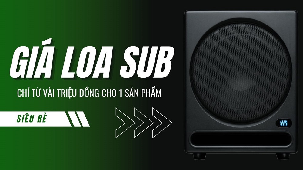 Giá loa sub karaoke hiện nay chỉ từ vài triệu đồng