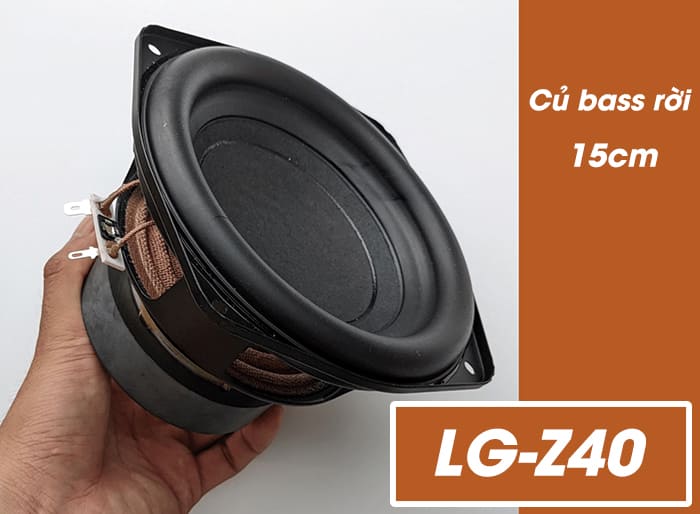 Loa bass rời 15cm LG Z40