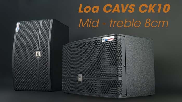 Loa karaoke CAVS CK10