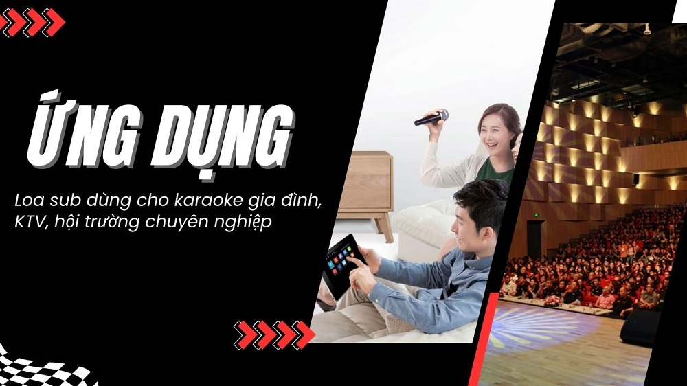 Loa siêu trầm đáp ứng tốt cho karaoke, hội trường sân khấu, KTV,...