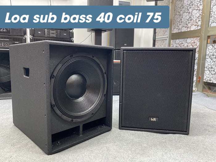 Loa sub có củ bass 40 siêu lớn