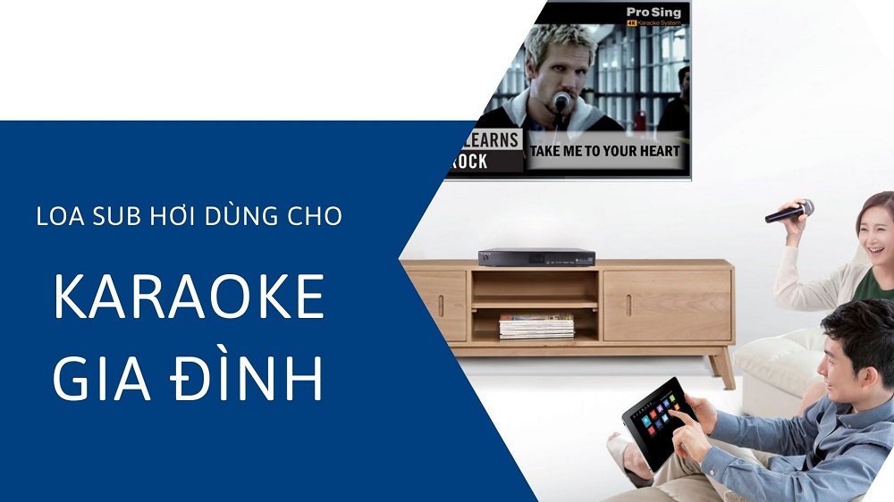 Loa sub hơi dùng cho karaoke, nghe nhạc giải trí tại gia Loa sub hơi dùng cho karaoke, nghe nhạc giải trí tại gia