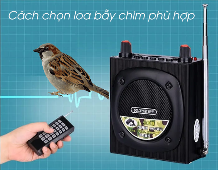 Nên chọn những thương hiệu uy tín Nên chọn những thương hiệu uy tín
