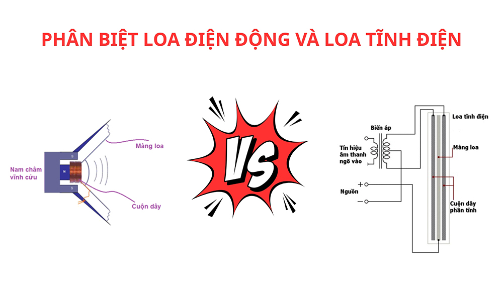 Phân biệt loa điện động và loa tĩnh điện