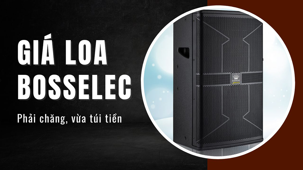 Giá loa BossElec phải chăng phù hợp với nhiều người dùng Giá loa BossElec phải chăng phù hợp với nhiều người dùng