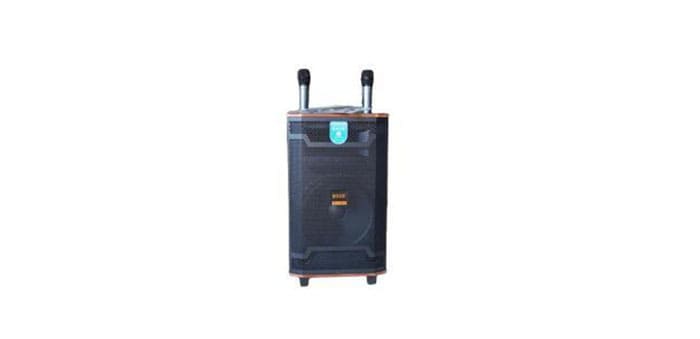 Loa BNIB 2299 được làm từ chất liệu cao cấp Loa BNIB 2299 được làm từ chất liệu cao cấp