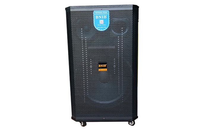 Loa BNIB 2583 kích thước khổng lồ