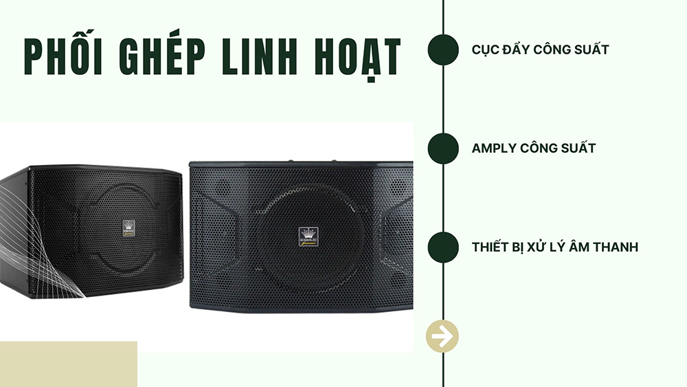 Loa BossElec phối ghép linh hoạt Loa BossElec phối ghép linh hoạt