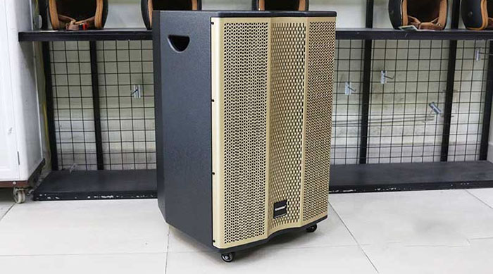 Loa Temeisheng ED 15-18 mang công suất lớn