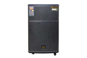Loa Temeisheng GD15-24