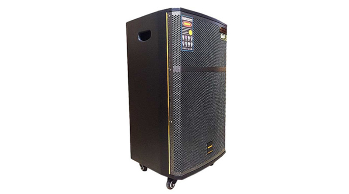 Loa Temeisheng GD15-24 tái tạo âm thanh hoàn hảo