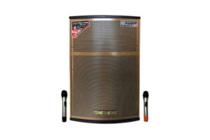 Loa Temeisheng QX 152