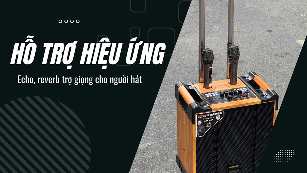 Loa karaoke Temeisheng hỗ trợ hiệu ứng echo, reverb Loa karaoke Temeisheng hỗ trợ hiệu ứng echo, reverb