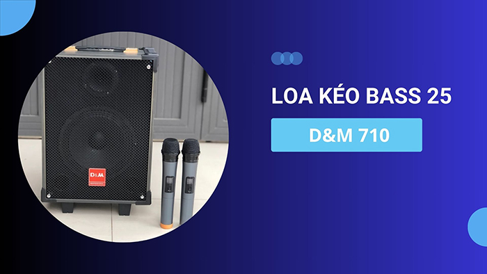 Loa kéo bass 25 D&M 710