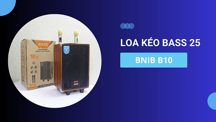 Loa kéo Bnib bass 25 B10