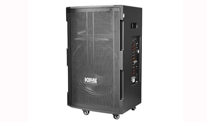 Loa Acnos CB391G đáp ứng các nhu cầu sử dụng Loa Acnos CB391G đáp ứng các nhu cầu sử dụng