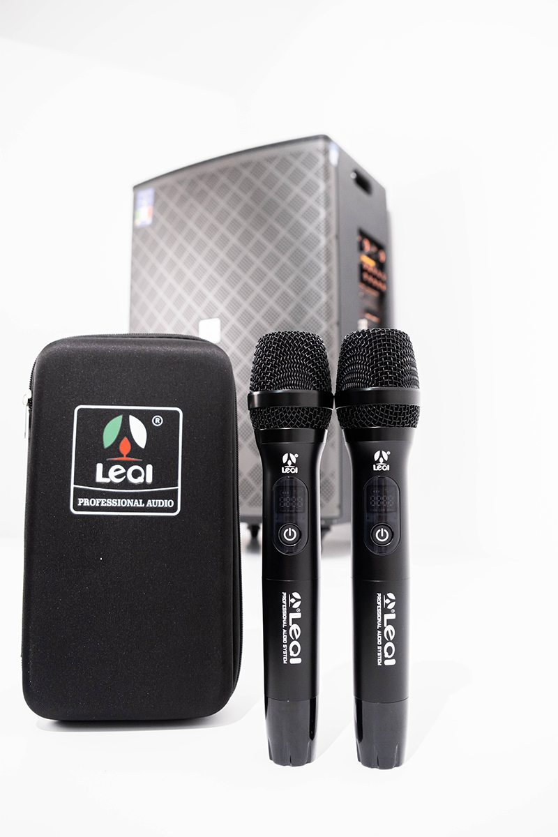 Loa LEQI MK-315 trang bị 2 micro không dây chất lượng