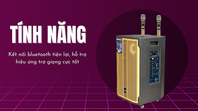 Loa hỗ trợ kết nối không dây hoặc phát nhạc qua USB, thẻ nhớ,...