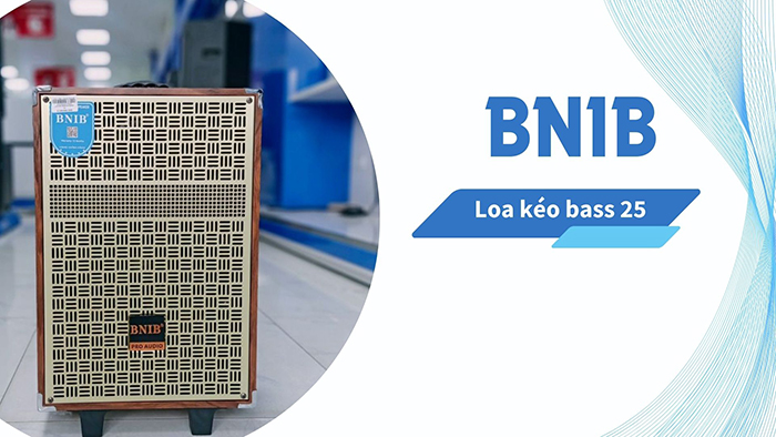 Loa kéo Bnib bass 25