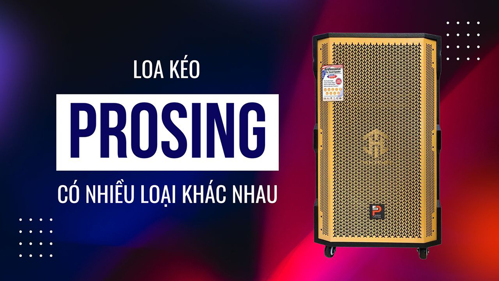 Loa Prosing có nhiều loại từ bass 20 đến bass 50 Loa Prosing có nhiều loại từ bass 20 đến bass 50