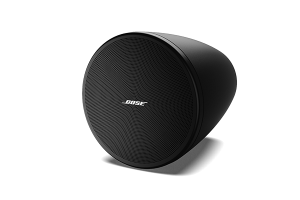 Loa Bose Designmax DM3P
