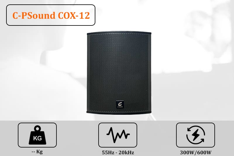 C-PSound COX-12 có chất âm mạnh mẽ vượt trội