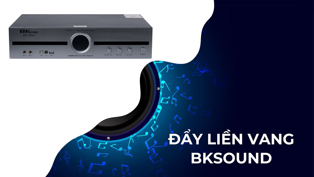 Amply đẩy liền vang BKSound