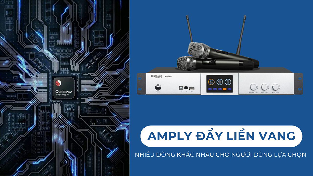 Amply đẩy liền vang có nhiều loại khác nhau phục vụ người dùng