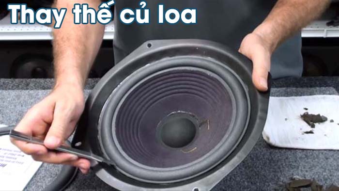 Thay thế củ loa