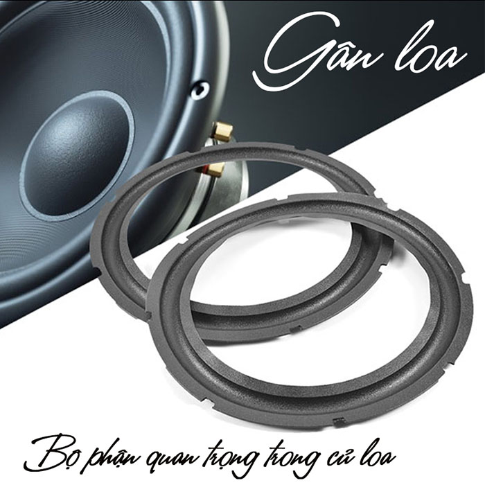 Gân loa có nhiều loại và mỗi loại có ưu nhược điểm riêng