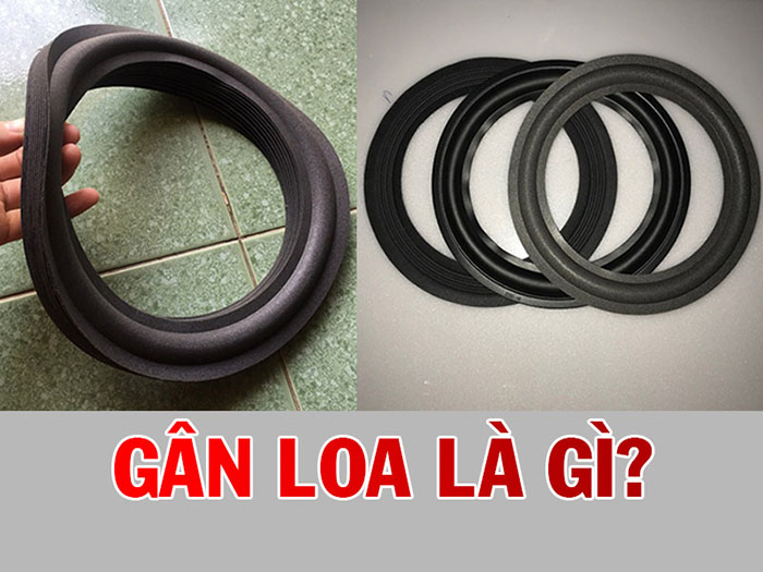 Gân loa là một bộ phận không thể thiếu trong cấu tạo của loa