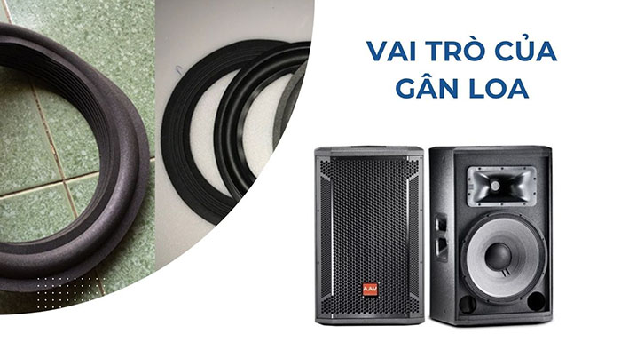 Vai trò của gân loa trong hệ thống loa