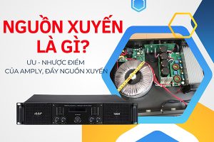 Nguồn xuyến là gì