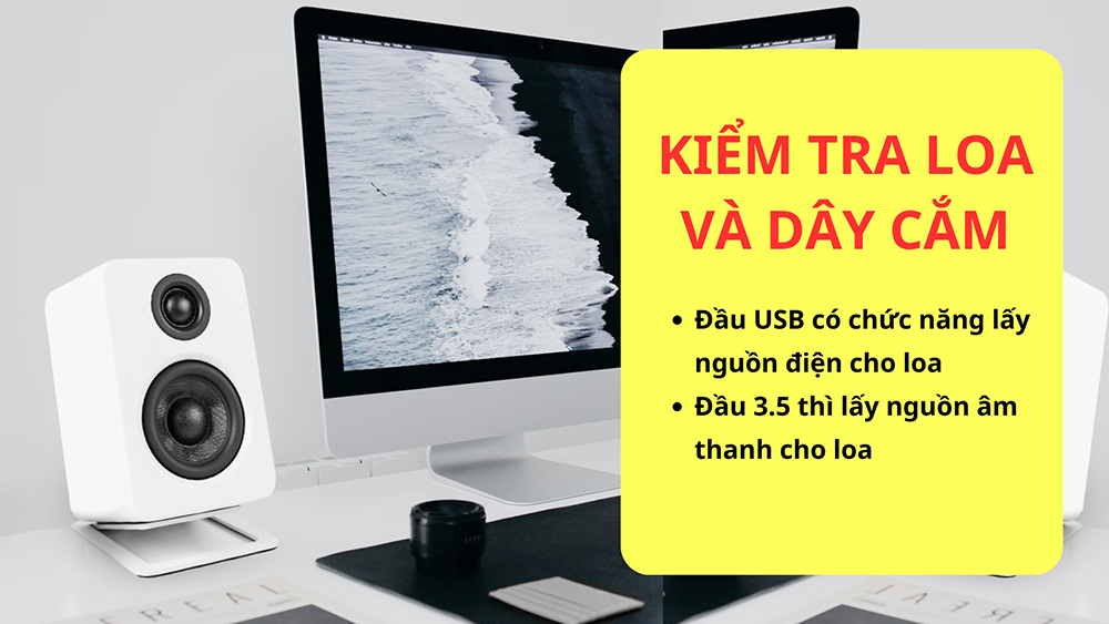 Bước 2: Kiểm tra loa và dây cắm