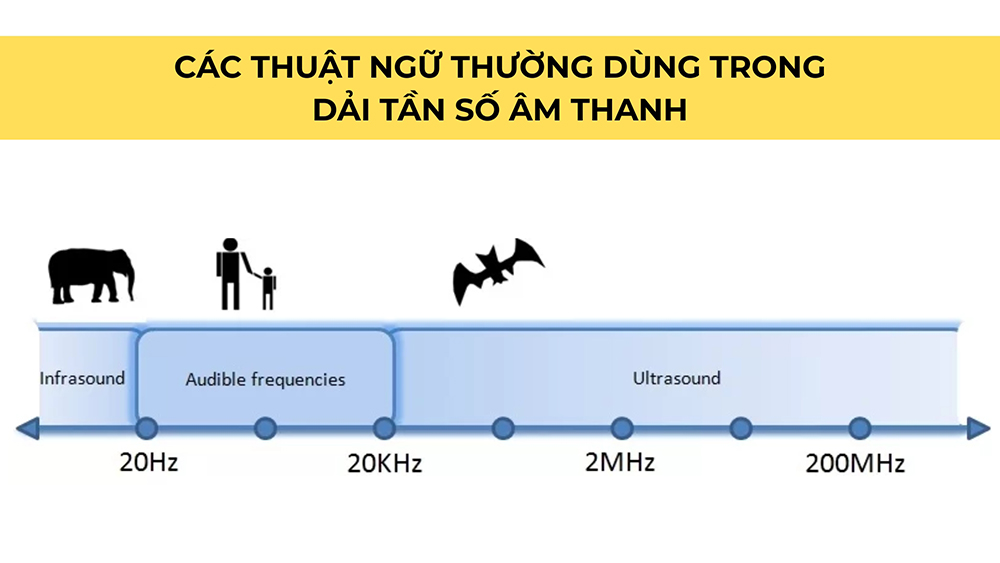 Các thuật ngữ thường dùng trong dải tần số âm thanh