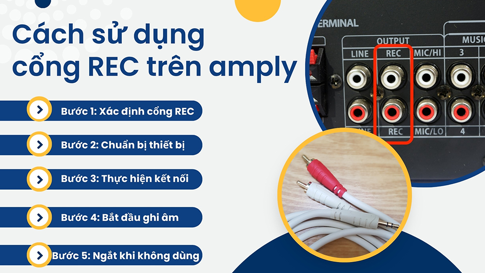 Cách sử dụng cổng REC trên amply hiệu quả: Kết nối đúng cổng, đúng màu