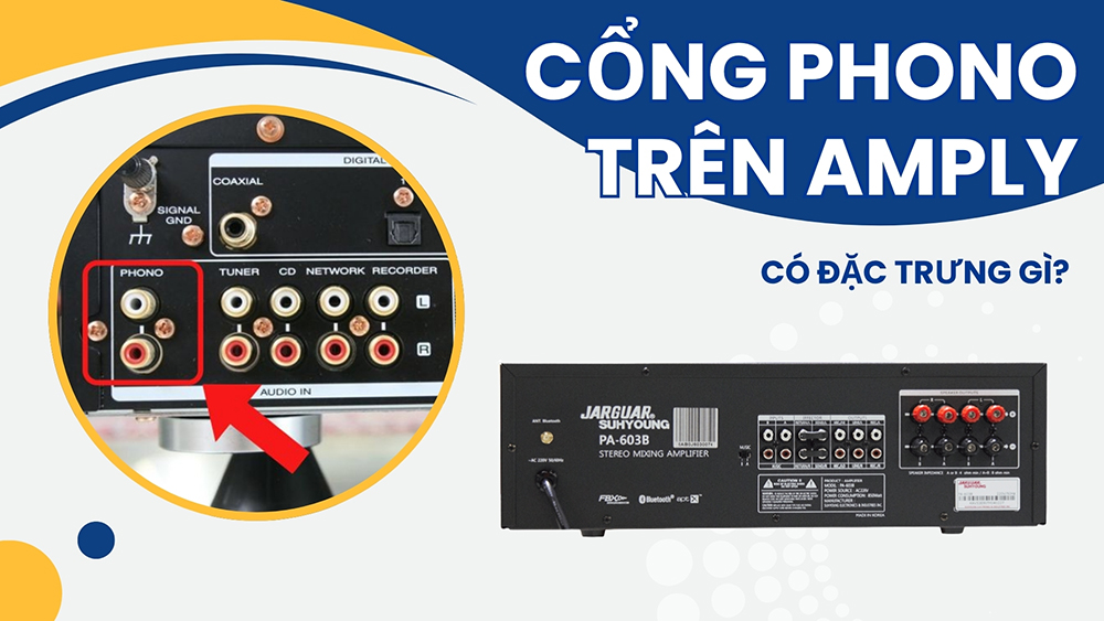 Điểm đặc trưng của cổng Phono trên amply