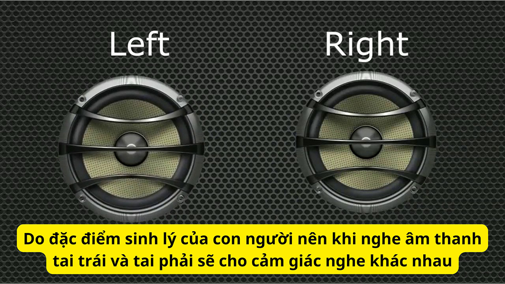 Do đặc điểm sinh lý của con người nên khi nghe âm thanh tai trái và tai phải sẽ cho cảm giác nghe khác nhau Do đặc điểm sinh lý của con người nên khi nghe âm thanh tai trái và tai phải sẽ cho cảm giác nghe khác nhau
