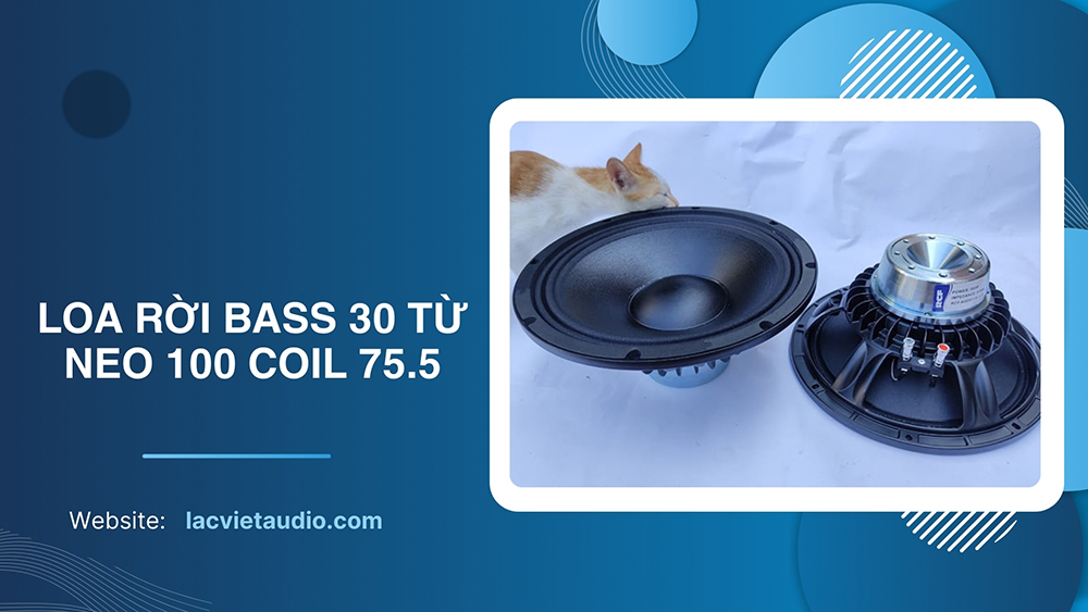 Loa rời bass 30 từ Neo 100 coil 75.5 âm thanh chi tiết, rõ ràng