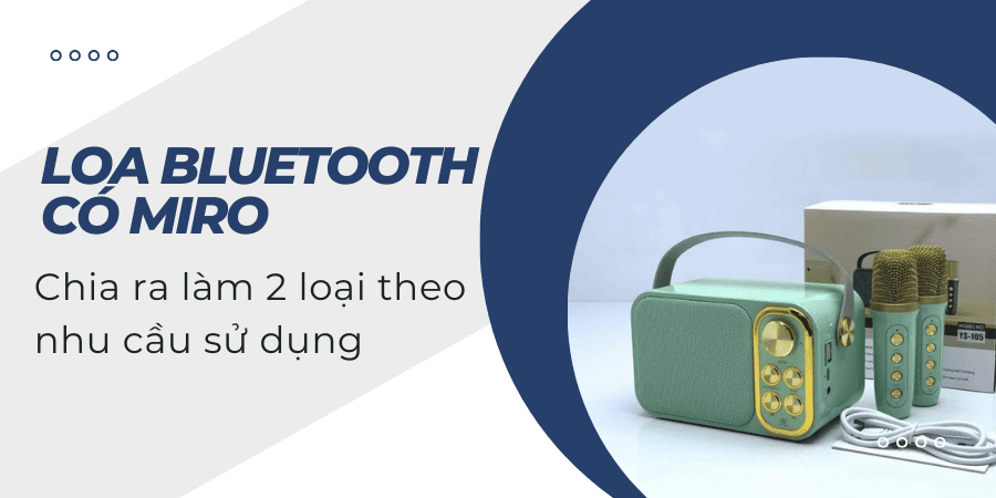 Loa bluetooth có mic được chia ra làm 2 loại chính theo nhu cầu sử dụng, vừa phục vụ tốt nghe nhạc, vừa phục vụ học tập