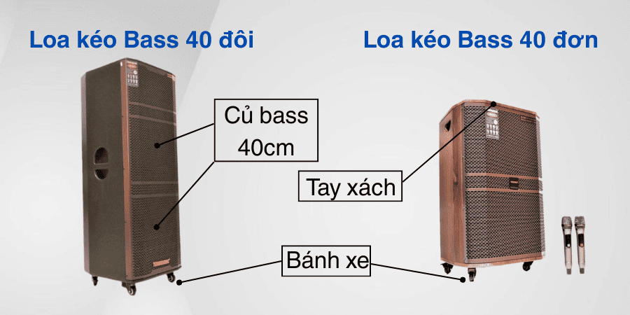 Loa Temeisheng 4 tấc có thiết kế gọn, trọng lượng không quá lớn, dễ mang đi di chuyển